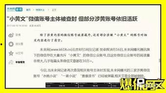 国产经典小黄文视频在线,揭秘国产经典小黄文视频背后的故事