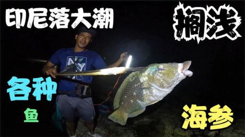 潮水国产区在线播放,在线播放盛宴，尽享视听盛宴