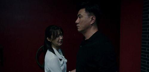 猎狐中的国产剧在线观看,揭秘国产剧在线观看的精彩瞬间