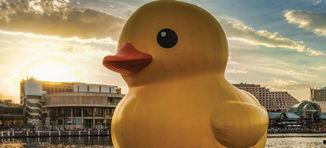 大黄鸭国产视频在线观看,在线观看，感受国货魅力