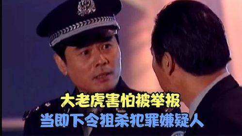 国产剧老虎在线观看,揭秘神秘老虎家族的传奇故事