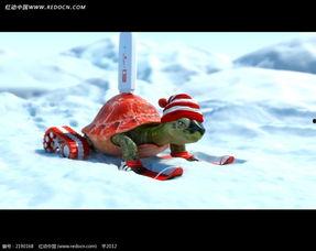 国产雪地动漫在线观看视频,在线观看，畅享冬日童话之旅