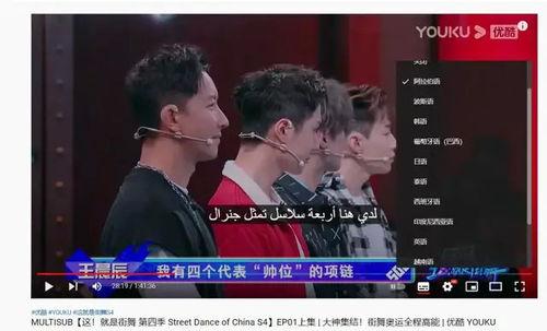 国产琳琅视频在线观看,在线畅享视听盛宴